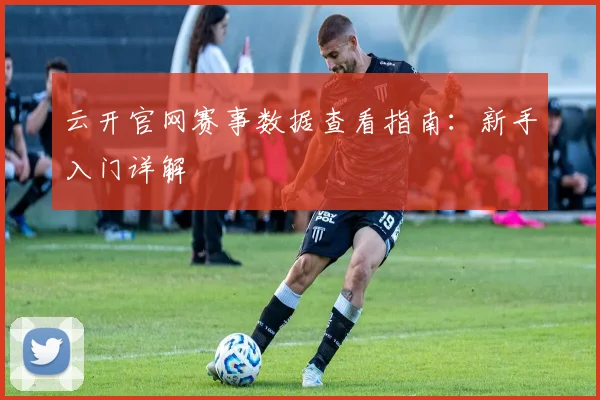 云开官网赛事数据查看指南：新手入门详解